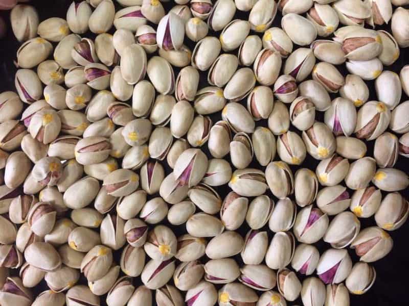 تصویر 5 از قیمت خرید پسته خندان با فروش عمده